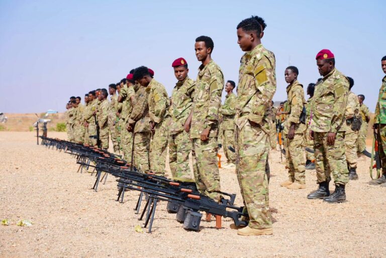 WhatsApp Image 2025-12-23 at 7.06.39 AM (1)