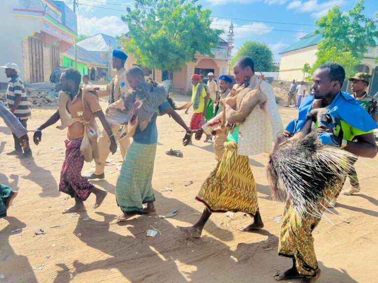 b846f236-0d12-4ce5-aca8-eff6ce5d2a2a