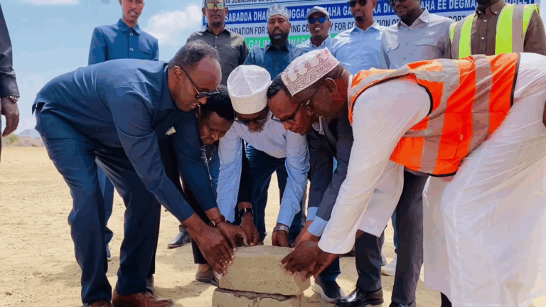 vlcsnap-2026-01-18-03h42m15s466