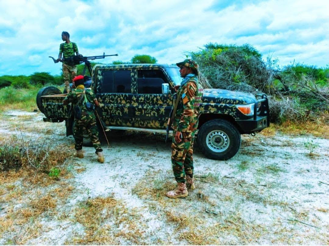 634098341_1374043141434050_6512662870822106672_n