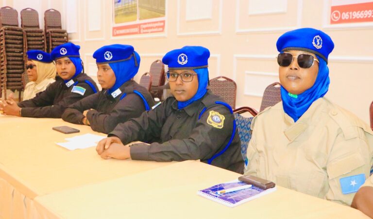 659646778_1413549300816767_7308480865263812399_n