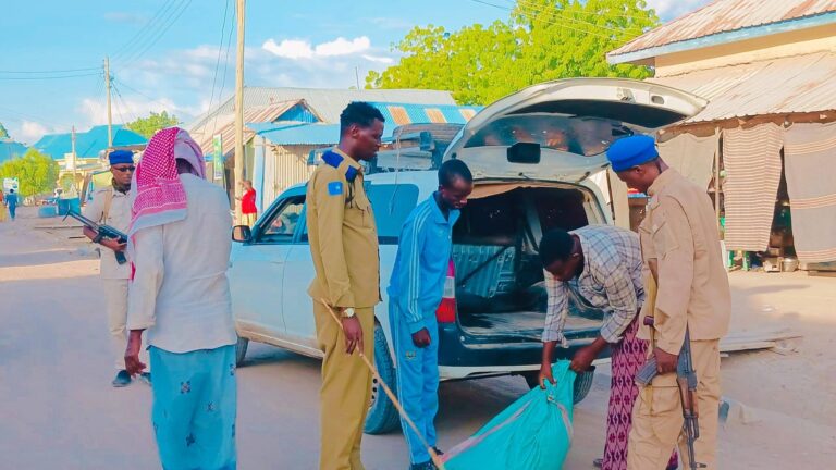 659907548_1415308213974209_3962165640747789541_n